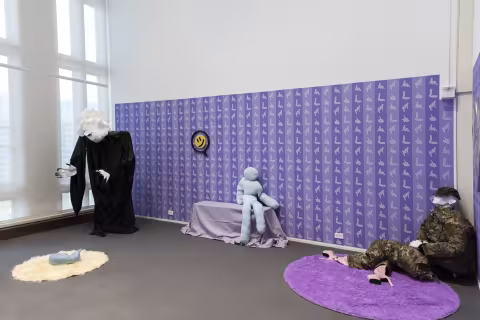 MFA 2024 Installation views