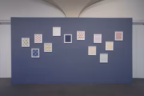 Barrow Parke installation view