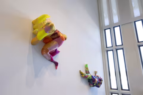 Body Maps installation view