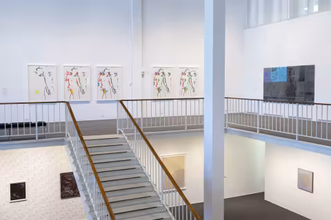 Body Maps installation view
