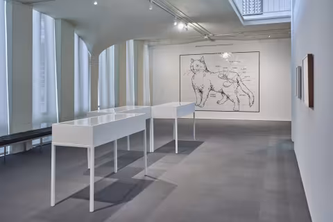 History Lessons installation images