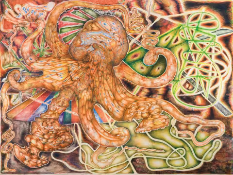 Octopus
