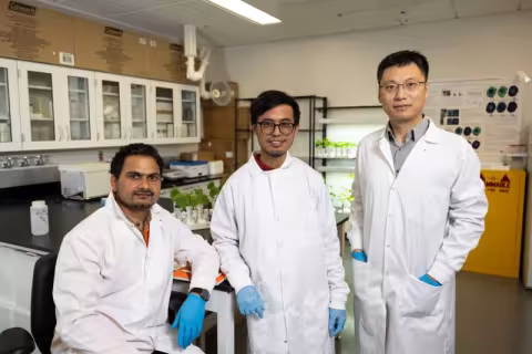 Professor Weilan Zhang with team members in the lab.