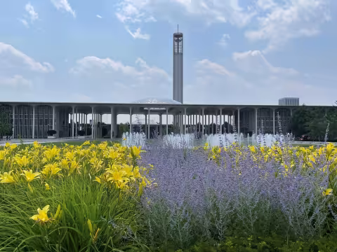 The front part of UAlbany's uptown campus, lined with flowers.