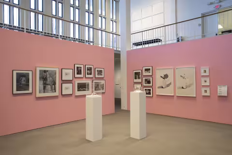 Affinities and Outliers Install image