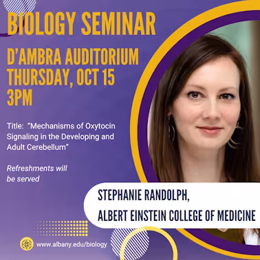 Stephanie Rudolph Seminar
