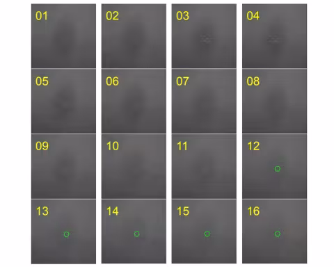 An image of 16 numbered grids depicting different gray and black tones.