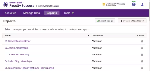 Custom report options