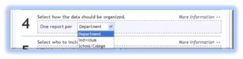 Options for organizing reports