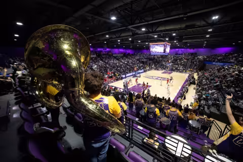 A crowd cheers at a basketball game, the court lit up and the UAlbany band playing music.