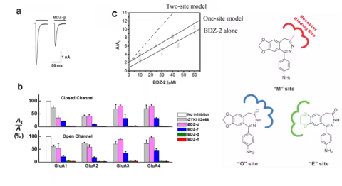 A graphic showing various images, including three graphs showing chemistry data and three chemical compounds labeled M, O and E sites.