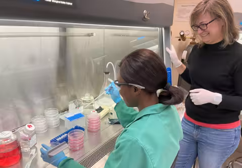 Image depicts two women in a brightly lit lab. One is seated at a lab bench, wearing green PPE and working with a stack of petri dishes and a pipette. The other, wearing glasses, latex gloves and a black sweater, stands next to her, smiling. 
