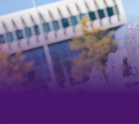 Massry School of Business building and main UAlbany fountain