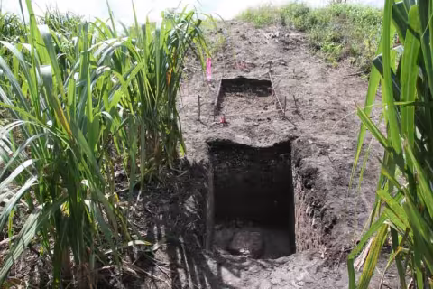 The excavation of Suboperation 12s and 12b.