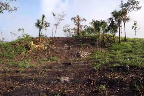 The excavation of Suboperation 15b and 15c.