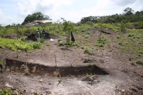 The excavation of Suboperation 19 and 20, with Mound XV in the background.
