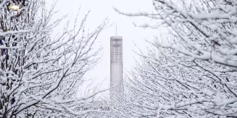 The UAlbany carillon tower is seen through snowy branches on a winter day.