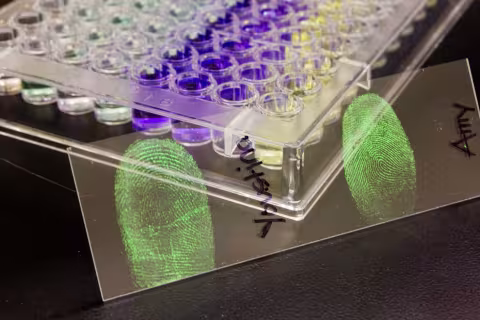Green fingerprints on a slide in front of vials.