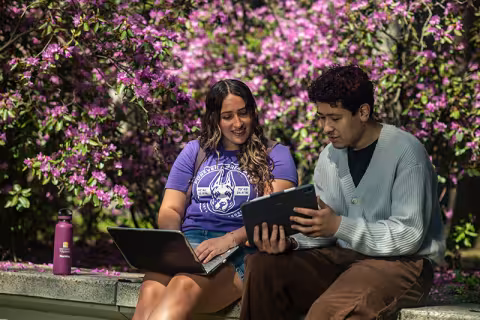 Two students working together on laptops outside on campus.