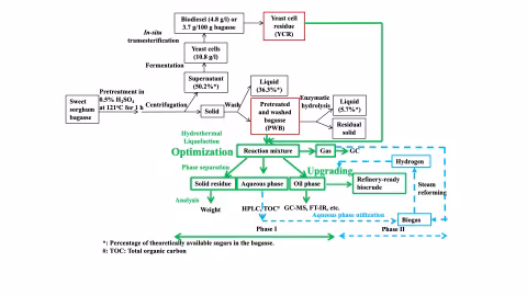  A bagasse-to-biodiesel pathway