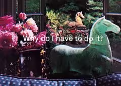 A variety of items, including pink flowers and a green horse statue, with superimposed text reading "Why do I have to do it?"