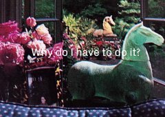 A variety of items, including pink flowers and a green horse statue, with superimposed text reading "Why do I have to do it?"