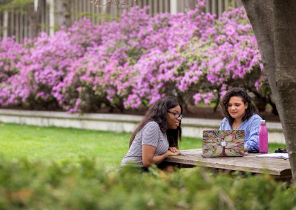 Two students sitting at a picnic table in the azalea garden smile as they look at a laptop screen together.