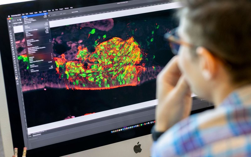 Image shows a computer screen and the back of  person's head. The screen shows colorful, amorphous shapes against a black background.