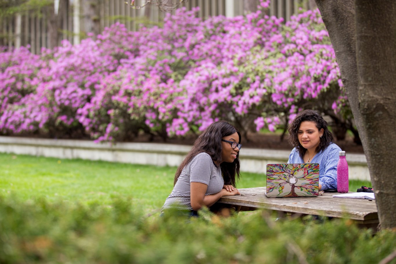 Two students work outside on the Main Campus during the spring bloom.