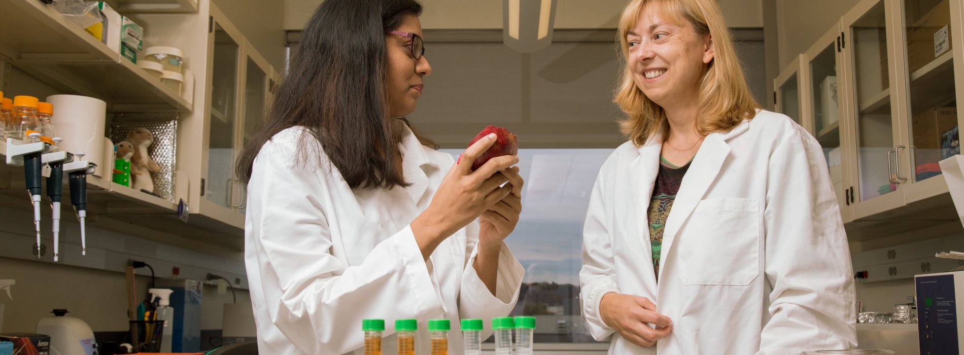 UAlbany researcher and graduate researcher collaborate on pomegranate extract research