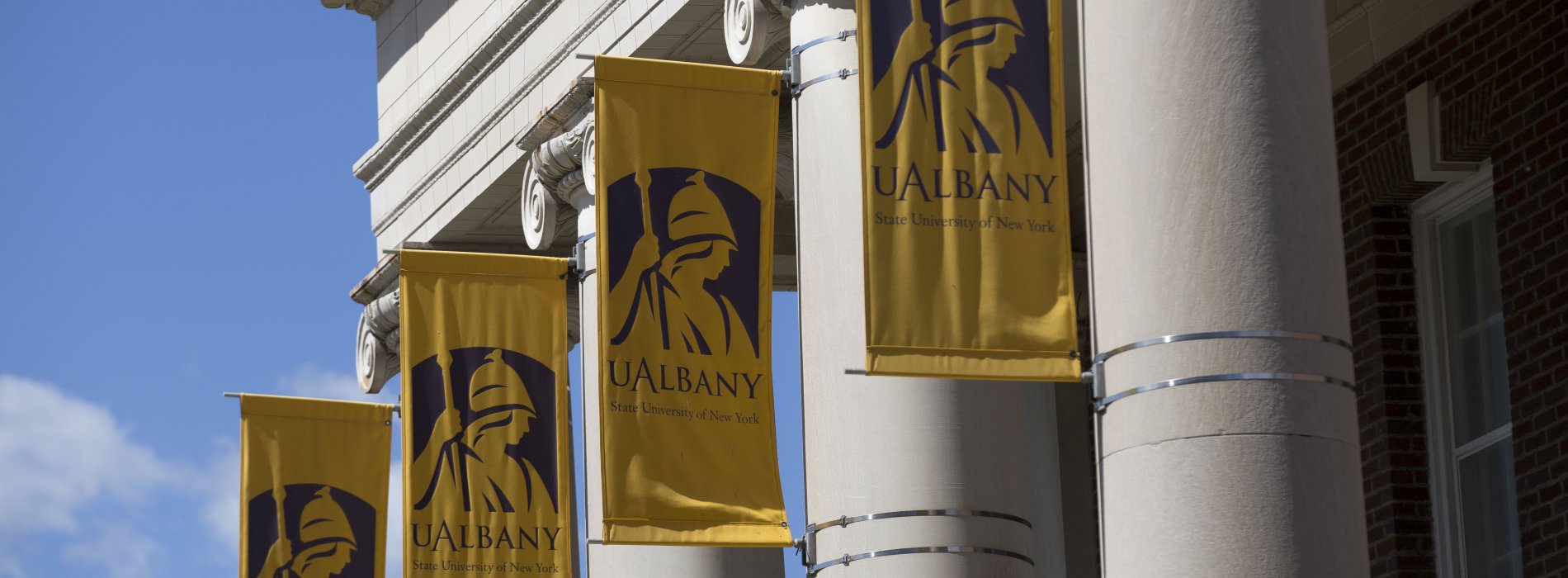 UAlbany banner flags on columns of downtown campus building