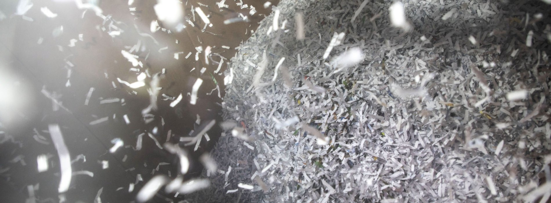 Paper flakes from being shredded from a paper shredder