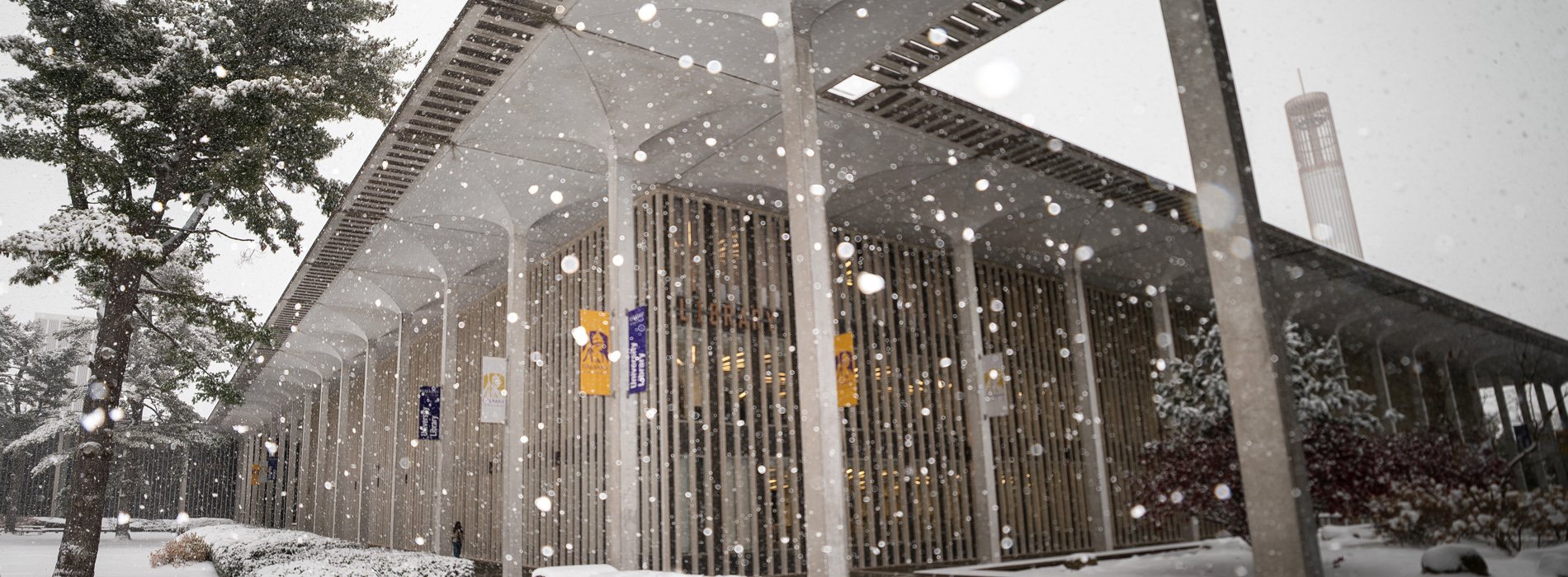 Snow showers outside the University at Albany Main Library.