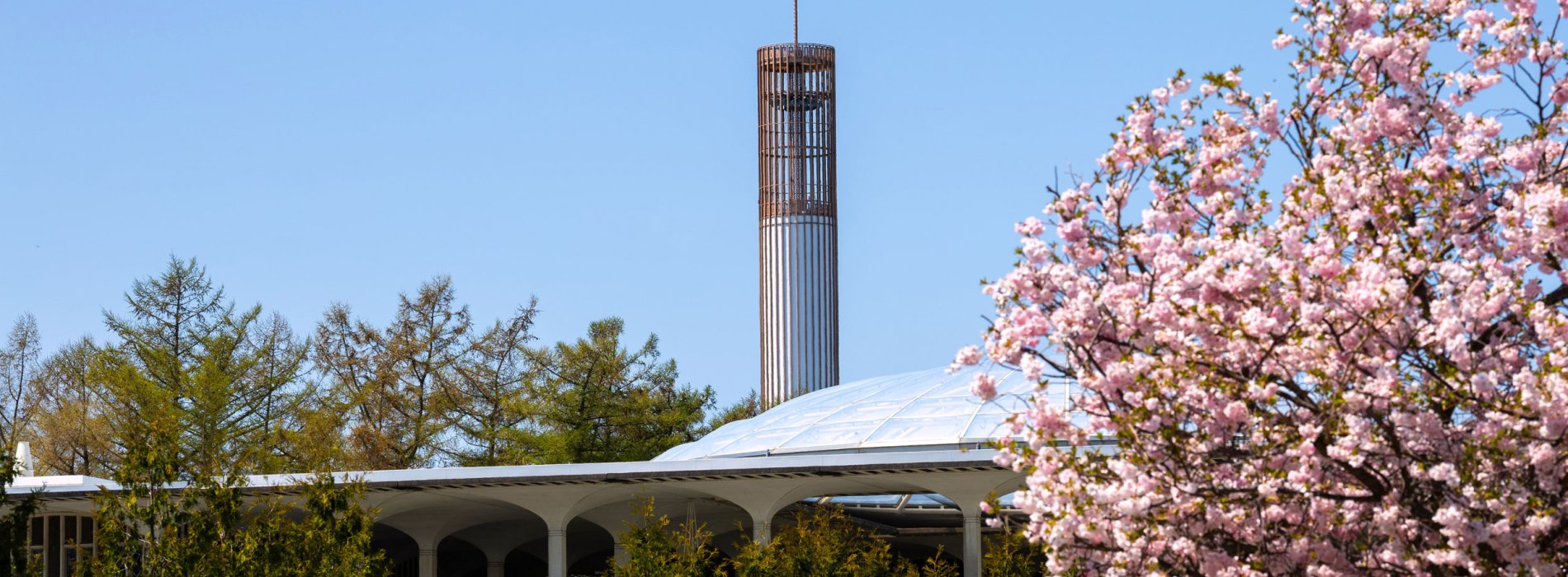 The UAlbany carillon and Podium visible through flowering and evergreen trees on a sunny spring day.