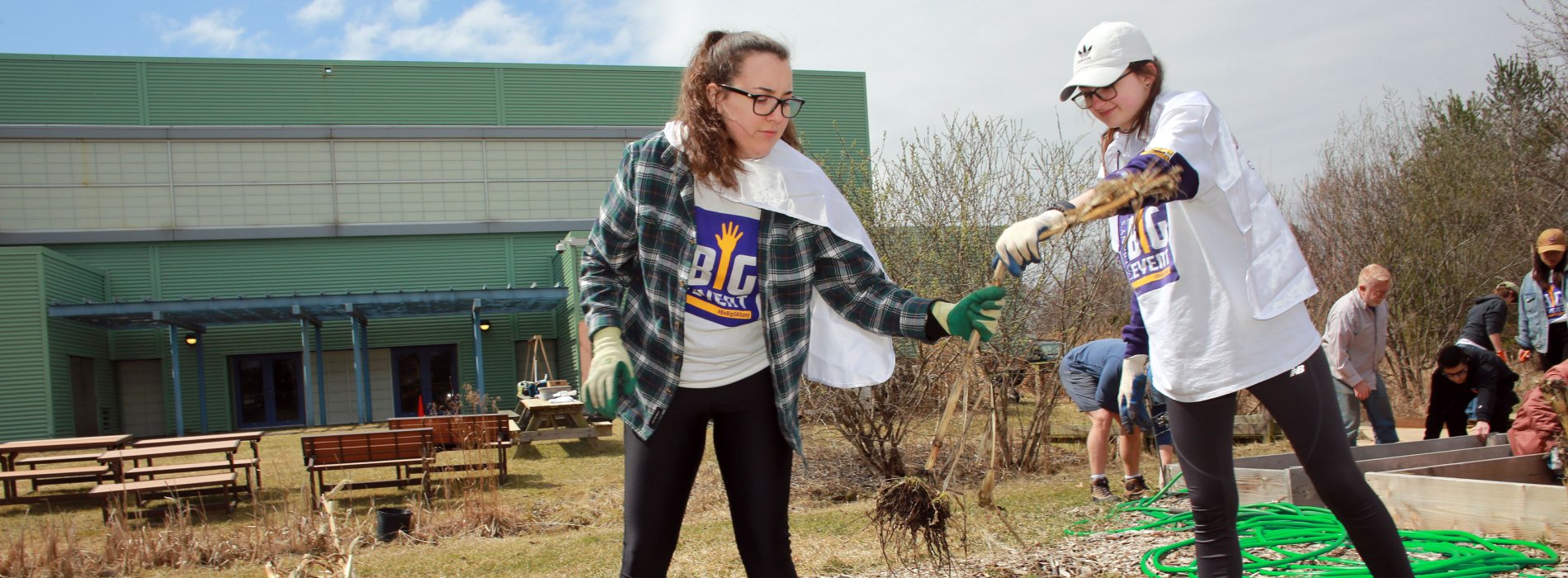 Two students wearing The Big Event t-shirts and gardening gloves work outside clearing a public garden of dead weeds.