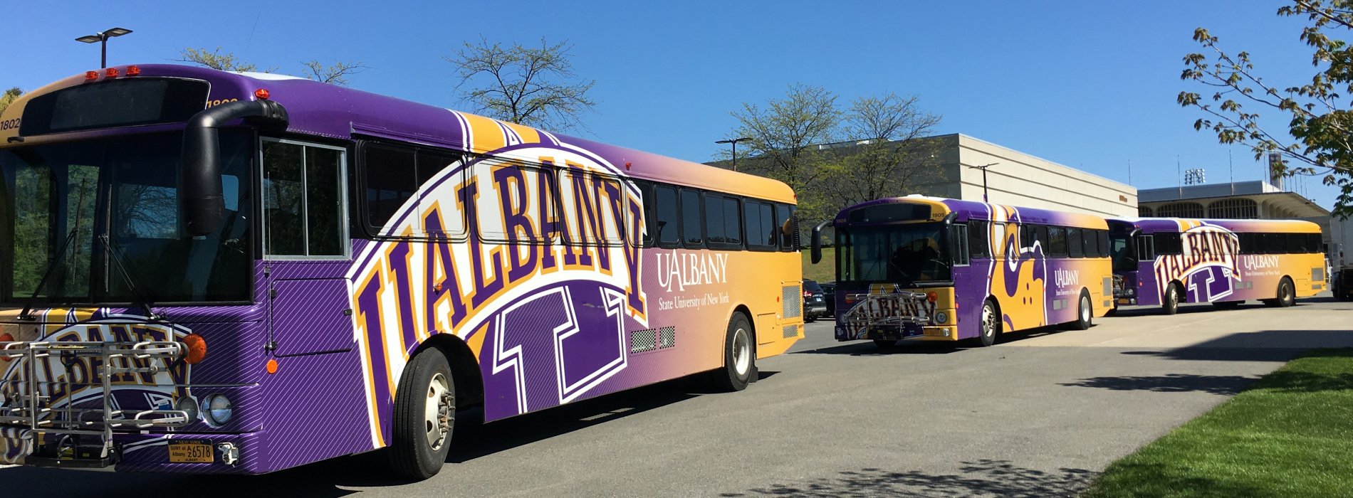 Three buses with UAlbany logo are parked outside in a line