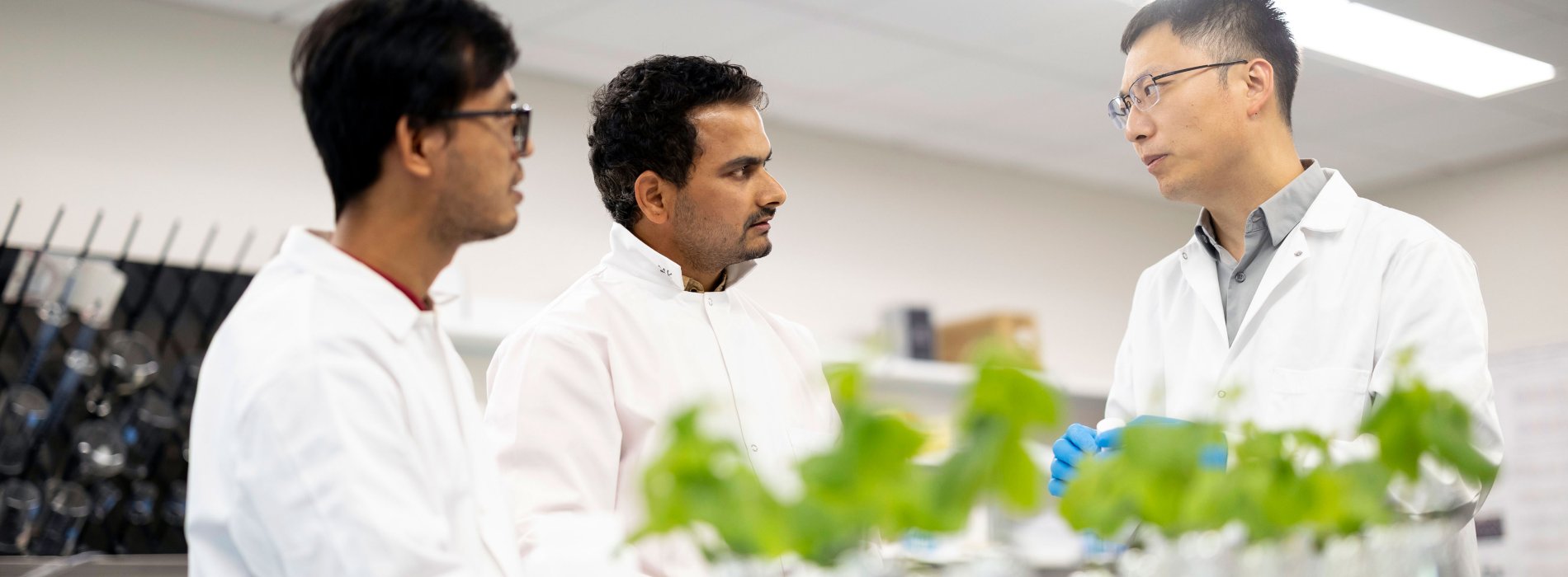 Three researchers wearing white lab coats converse while standing beside a lab bench with green plants on top of it.