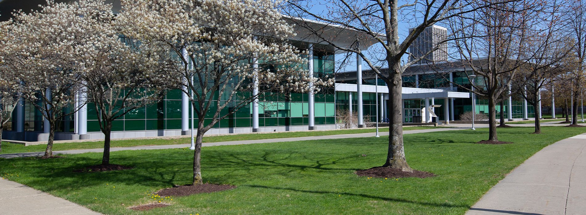 Exterior of the Life Sciences Research Building, covered in green-toned glass panels and surrounded by budding trees and green grass.