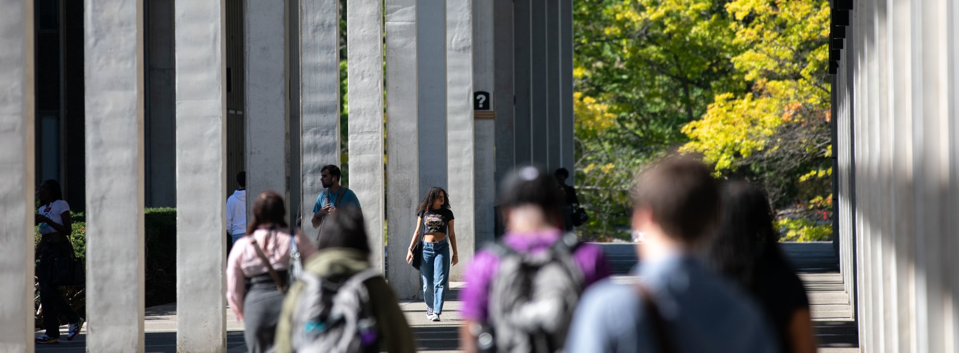 Students walking on campus on a sunny day