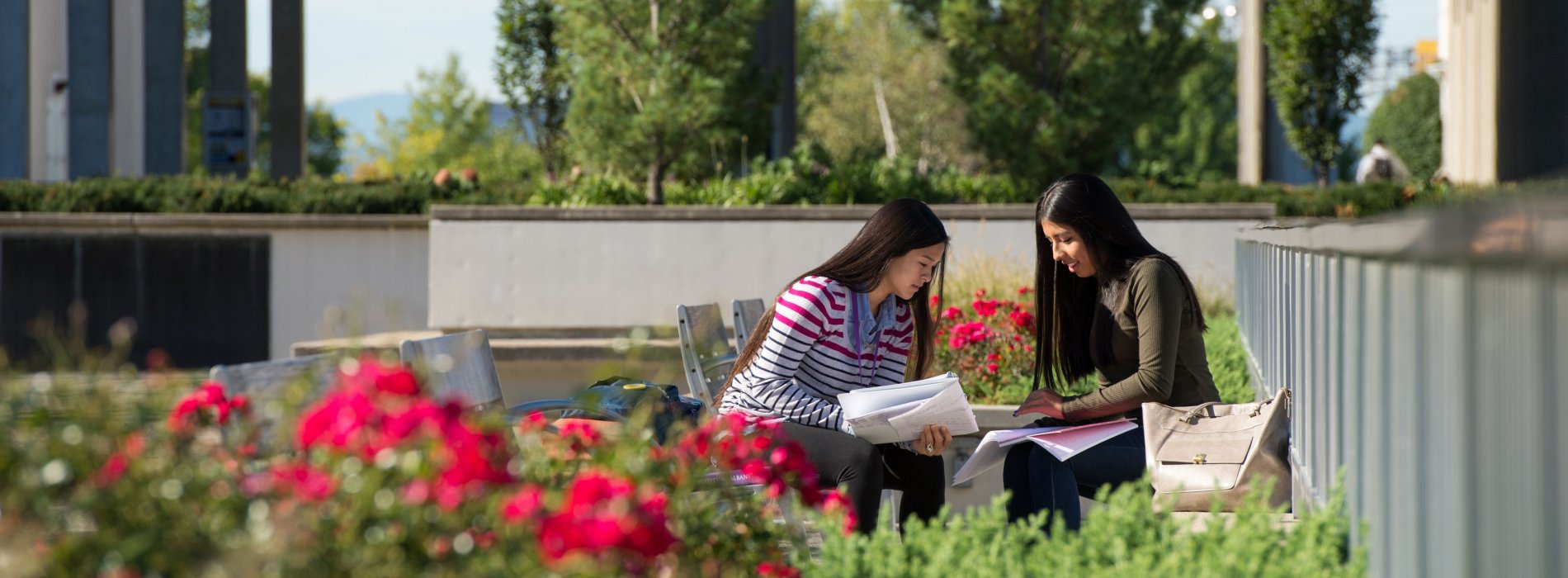 Two students looking over notebooks sit on outdoor benches surrounded by flowers 