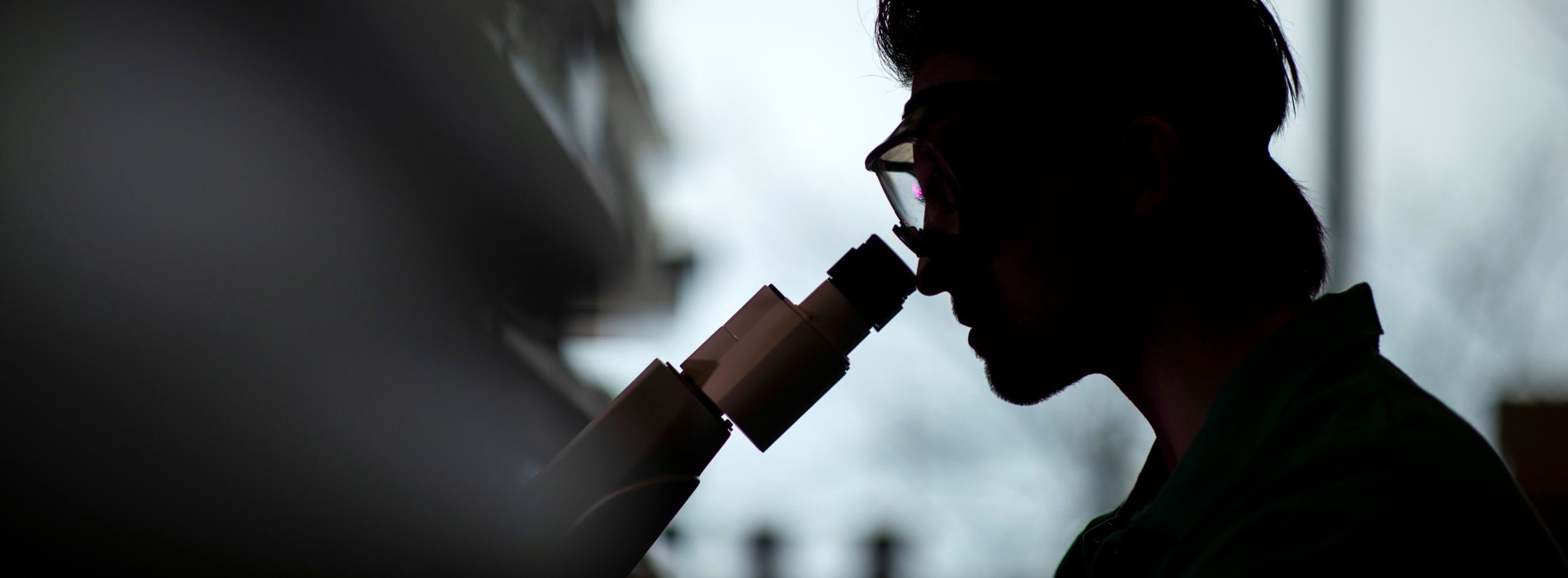 A researcher wearing eye protection leans in and looks into a microscope inside a laboratory.