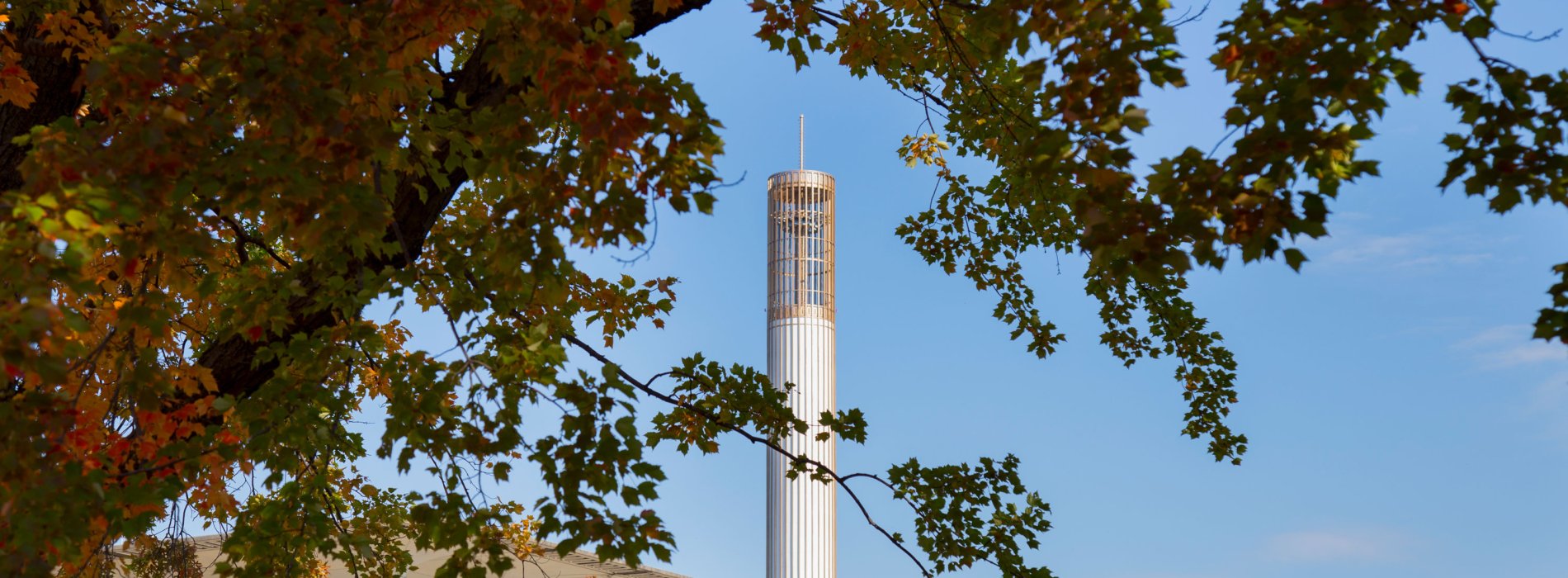 The UAlbany carillon, as seen through fall foliage on the Uptown Campus.