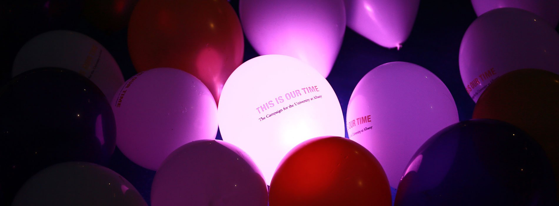 Glowing purple balloons from the campaign kick off celebration.
