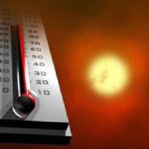UAlbany Heat Index NYC