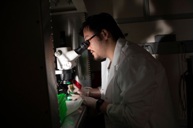 A researcher in a white lab coat looks into a microscope in a darkened room