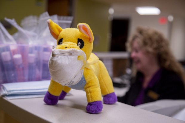 A stuffed Great Dane toy with a face mask sits on the Student Health Services front desk