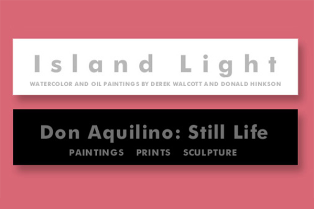 Island Light banner