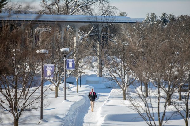 A student walks along a plowed Dutch Quad sidewalk on a snowy day
