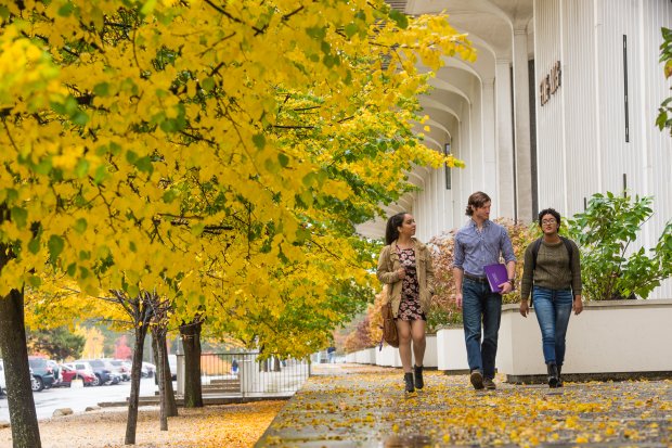 Three students walk through campus, surrounded by fall foliage