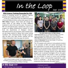 In the Loop Issue 8
